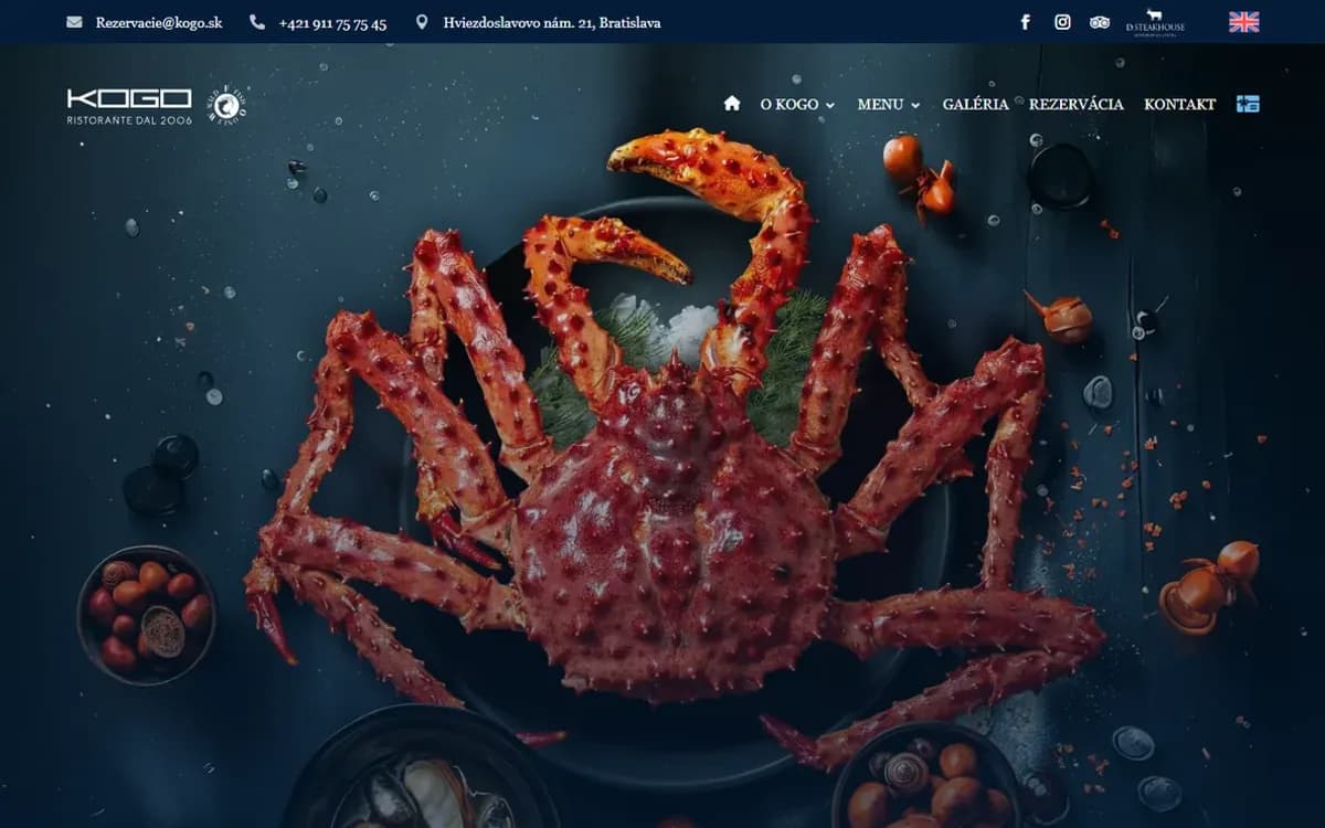 Web KOGO na počítači
